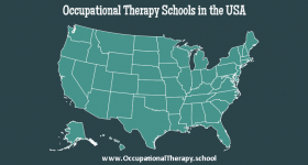 OT school in the USA