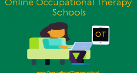 Online OT schools