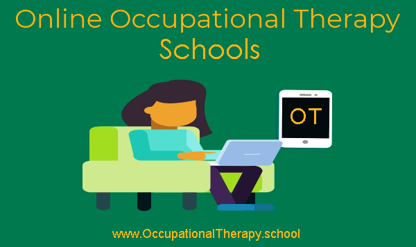 Online OT schools