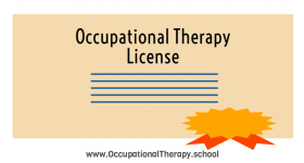 Occupational therapy license