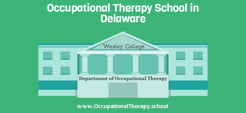 OT school Delaware