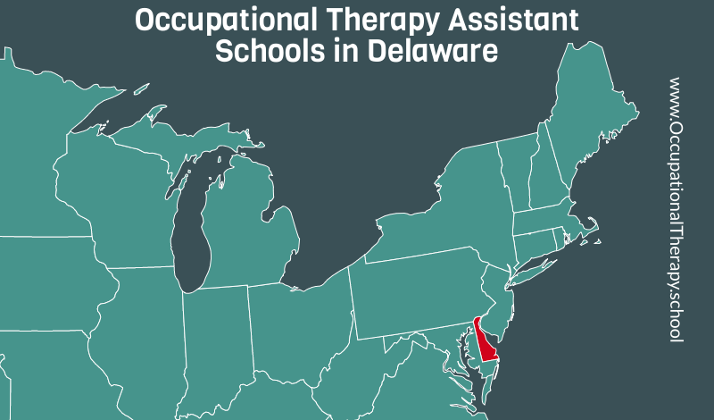 OTA schools in Delaware