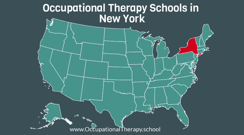 OT schools in New York