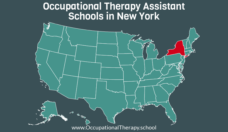 OTA schools New York